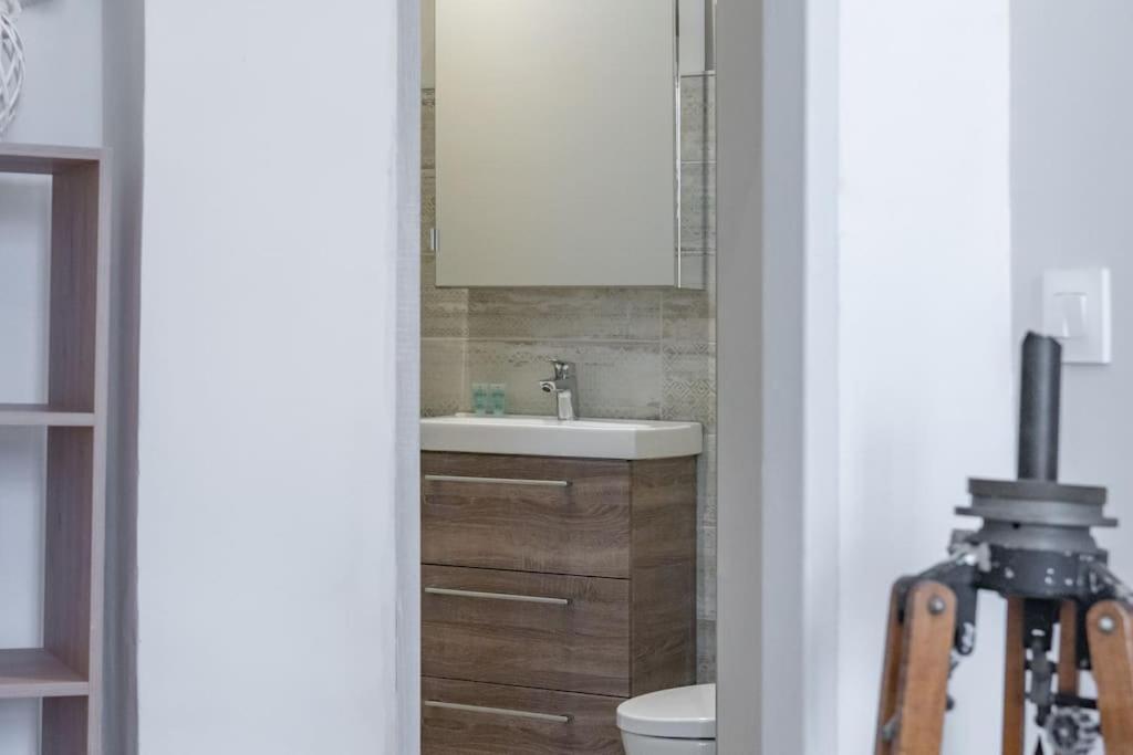 Апартаменты Magnolia Magnifique T2 Entierement Renove. Монтобан Экстерьер фото